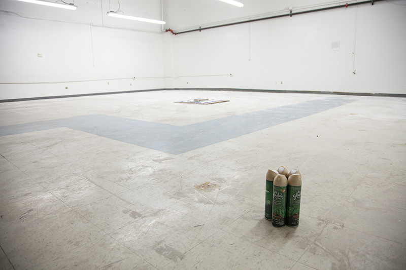 Freedom Installation View