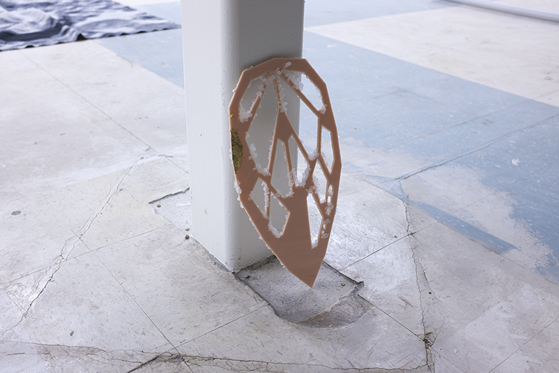 Lisa Radon install image