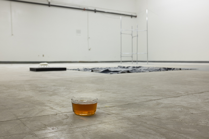 Lisa Radon install image